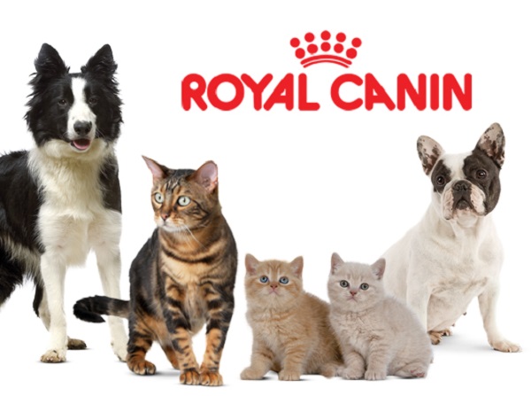 Thức ăn chó mèo Royal Canin