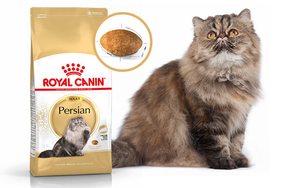 Royal Canin