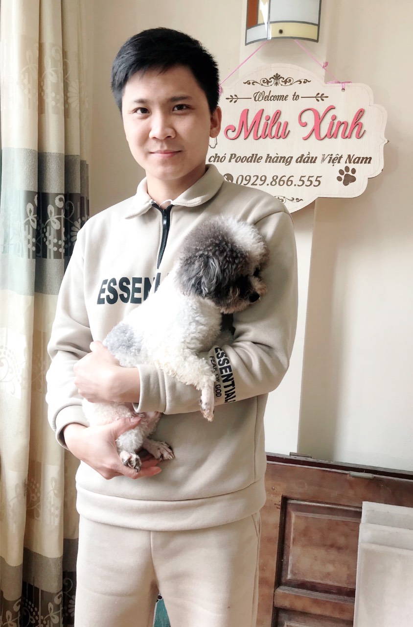 tuấn anh poodle- chủ shop Milu Xinh