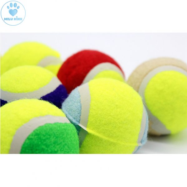 Đồ Chơi Bóng Ném Tennis Bật Nảy Cho Chó