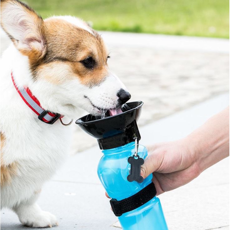 Bình nước uống cho chó