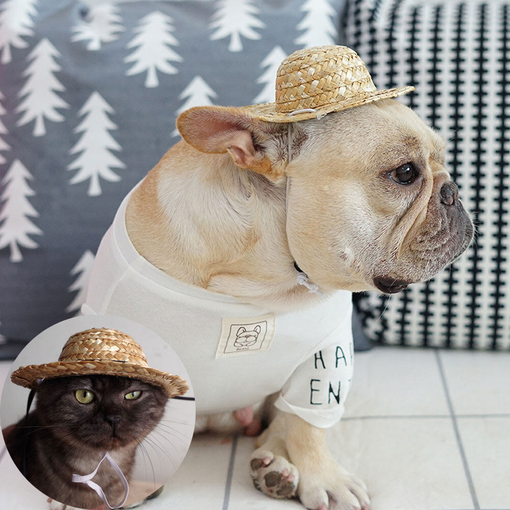 Mũ nón cho chó đáng yêu