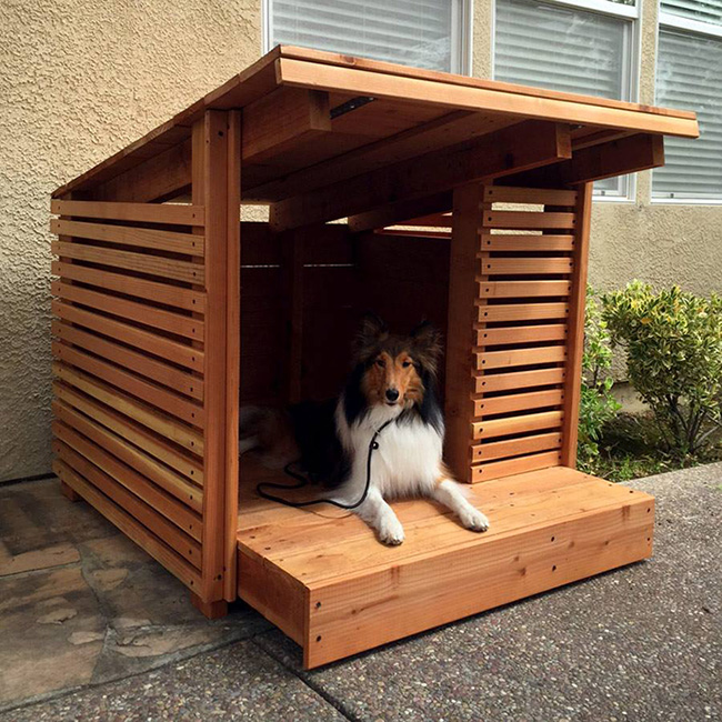 Nhà cho chó bằng gỗ.