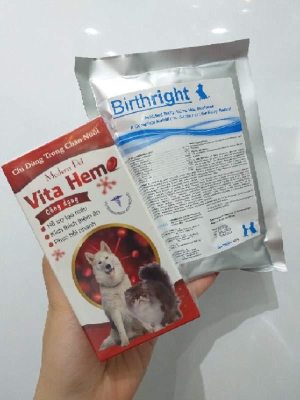 Modern Pet Vita Hemo hỗ trợ tạo máu