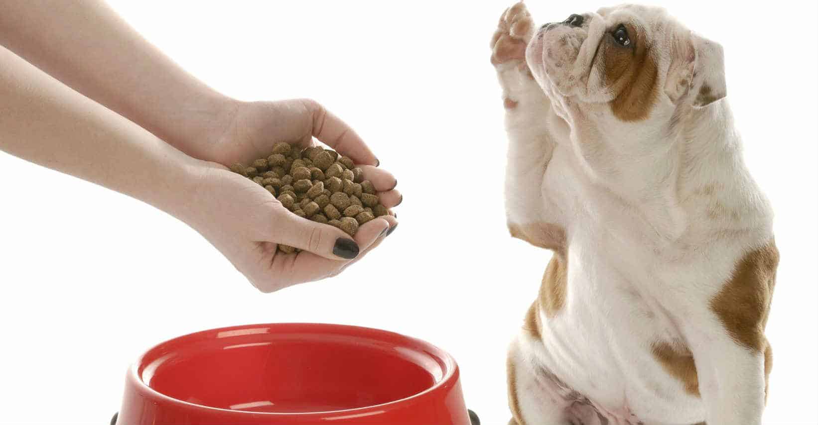 Thức ăn cho chó đầy đủ dinh dưỡng